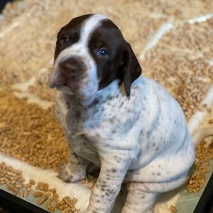 Meet your Posher, Sally